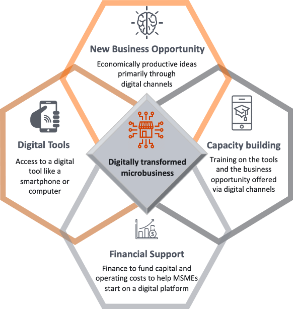 model of digitally transformed microbusinesses