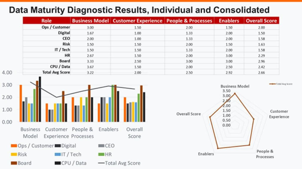 Accion's Data Maturity Diagnostic 