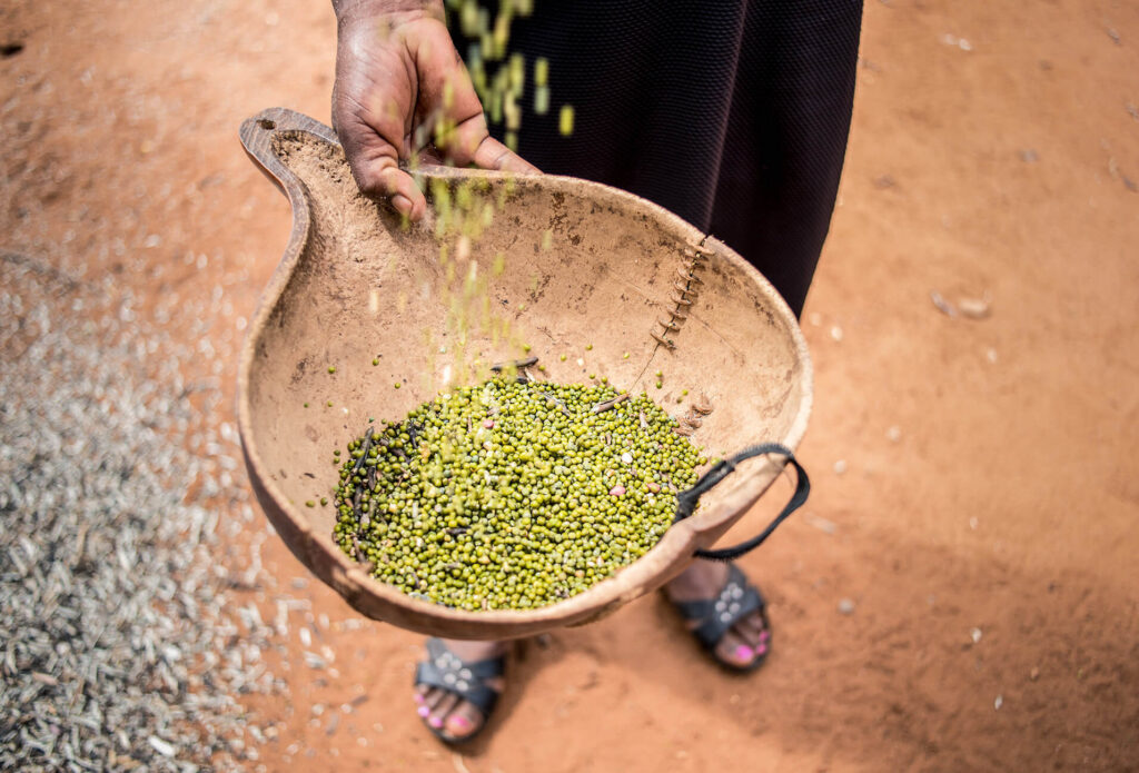 Smallholder farmer shows harvest in Kenya