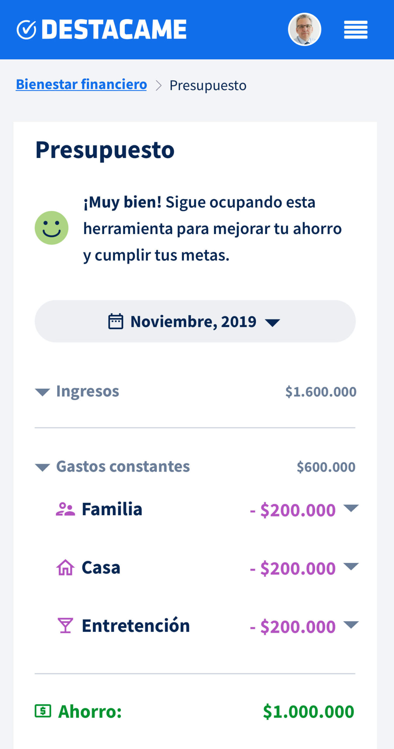 Destacame budgeting tool