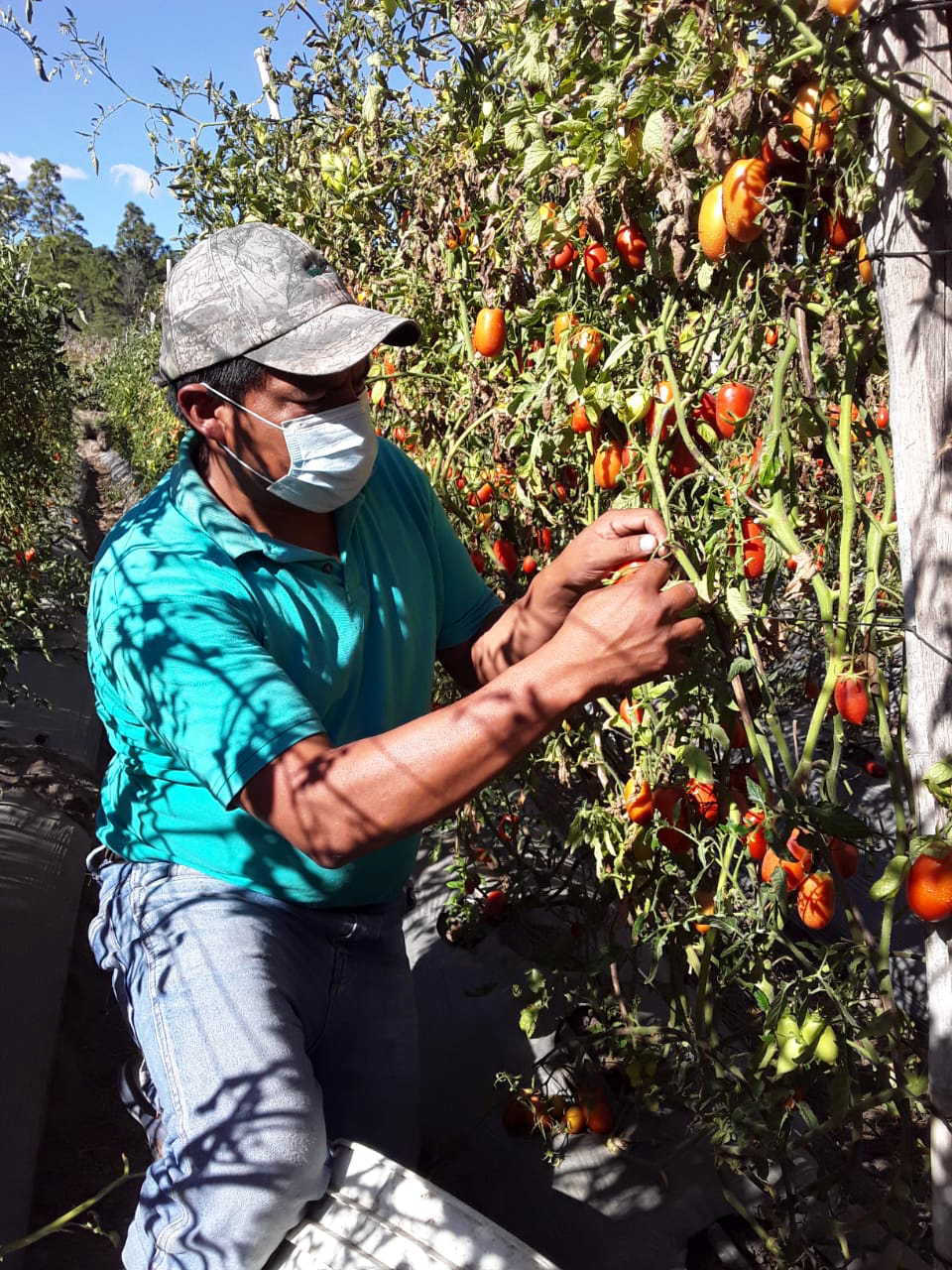 Miguel, a customer of Fundación Génesis Empresarial in Guatemala