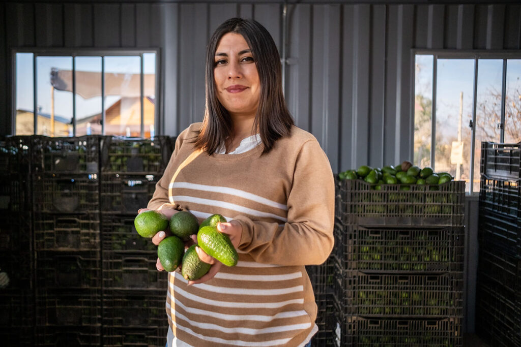 Karolayn at her avocado business in Chile