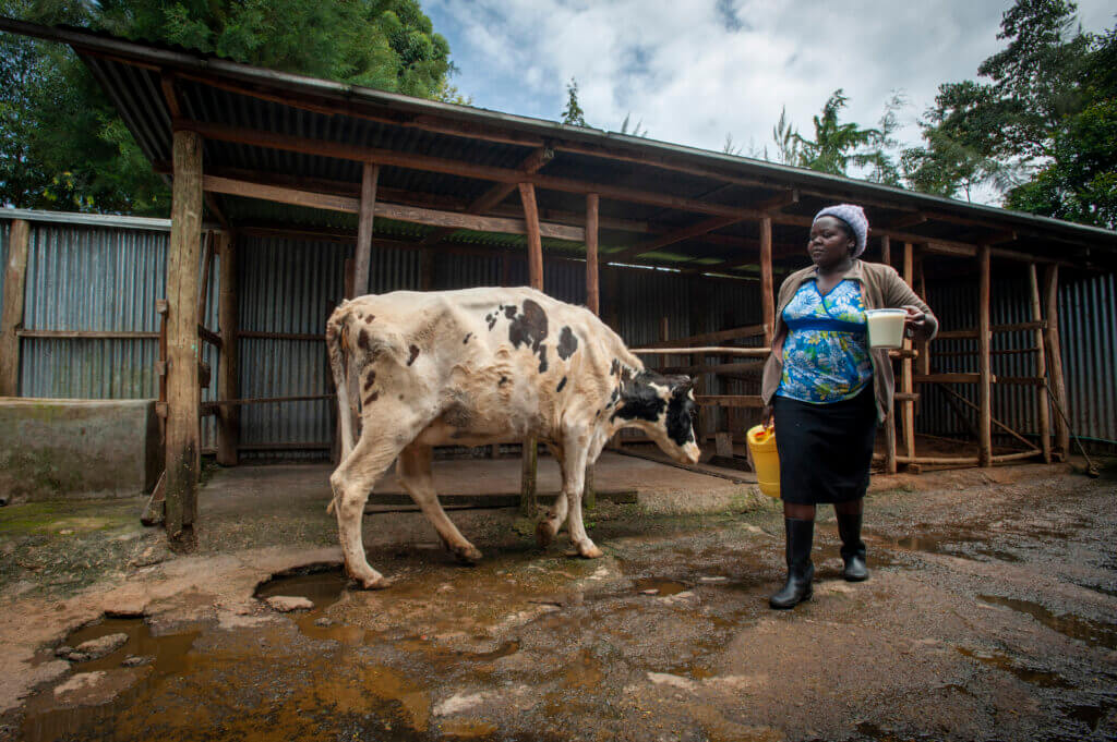 Emily Koech stands by her cow