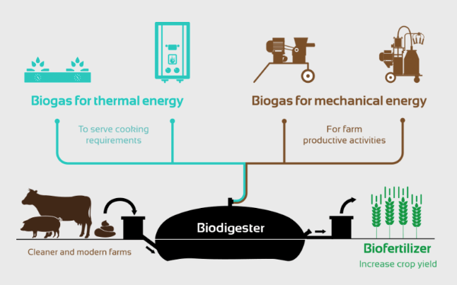 A diagram of Biodigester benefits