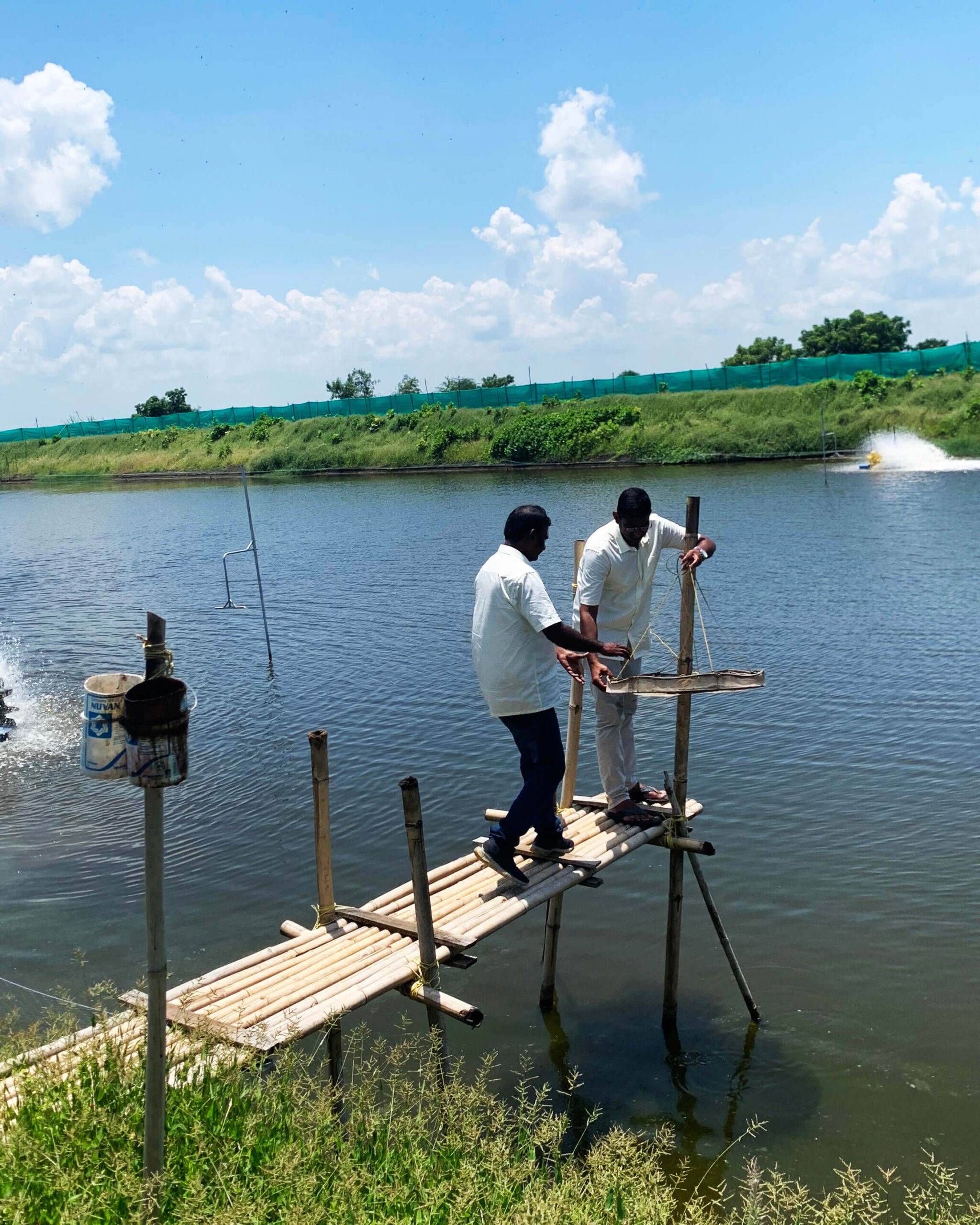 Aquaculture farmers in India