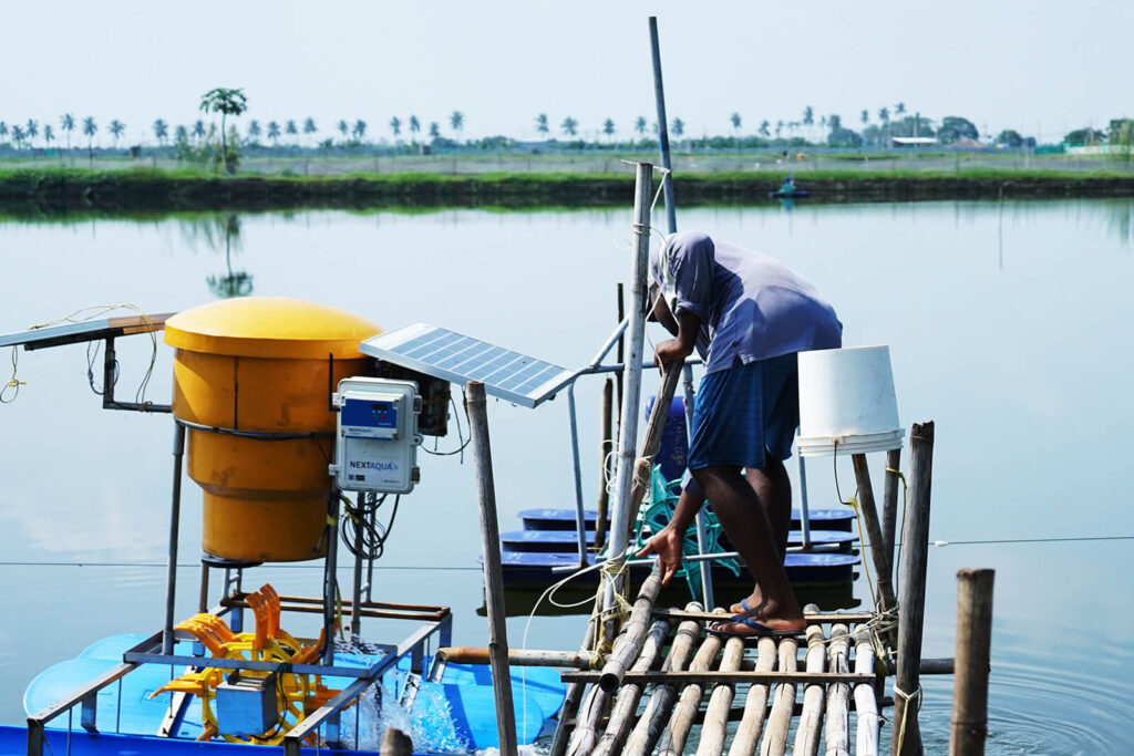 A shrimp farmer in India uses AquaExchange’s solar-powered automated crop monitor and feeder.