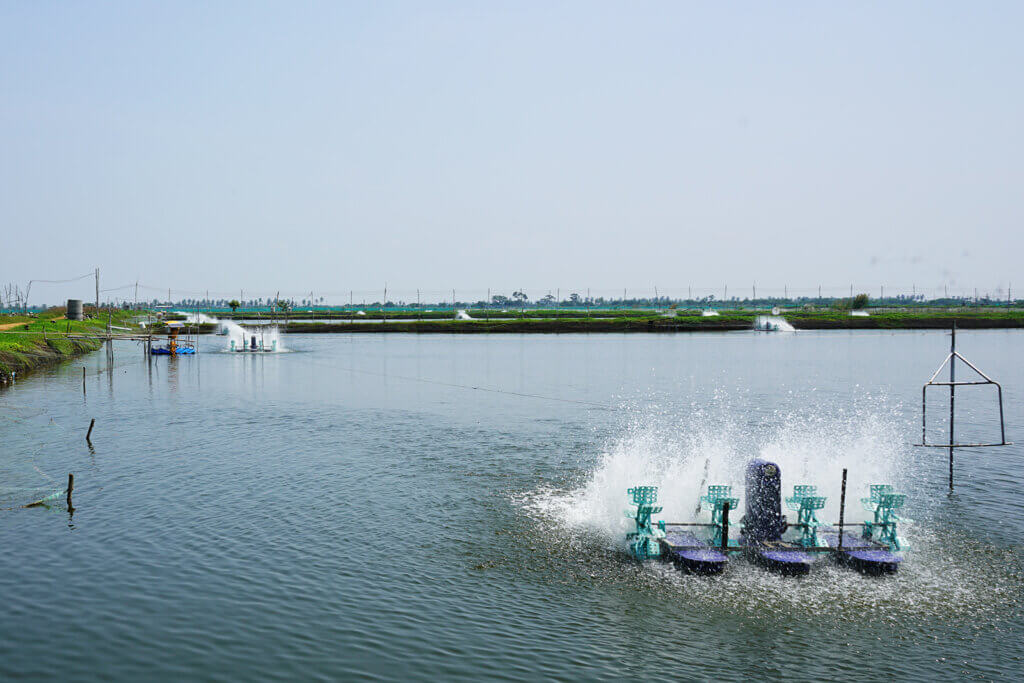 Picture of an aquaculture farm