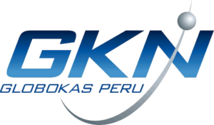 GKN Logo