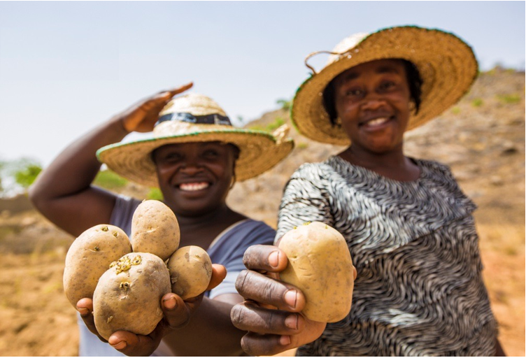 Two smallholder women farmers hold potatos