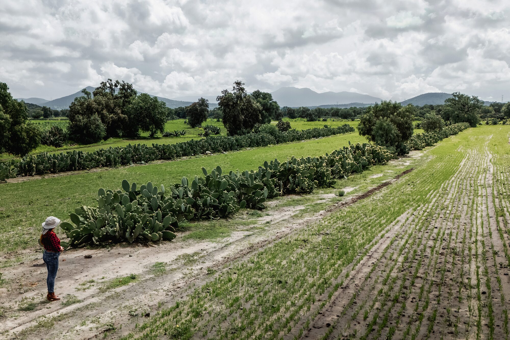 What Challenges Do Farmers Face In Mexico's Countryside