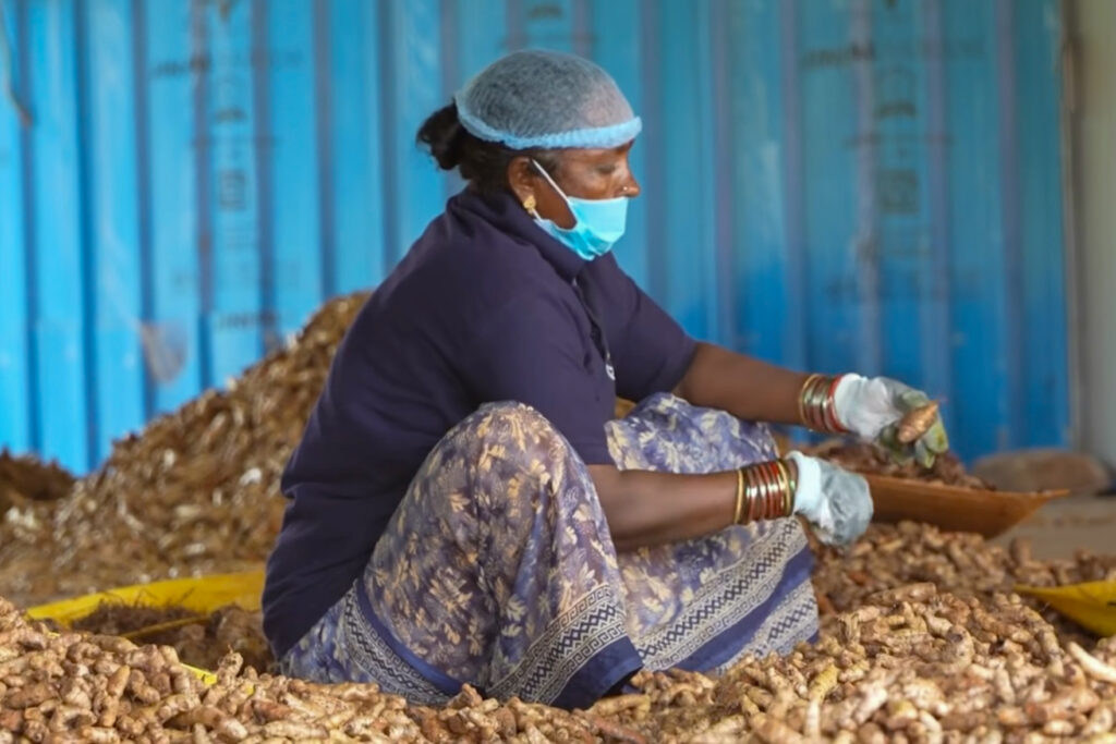 woman working at tumeric processing facility in India